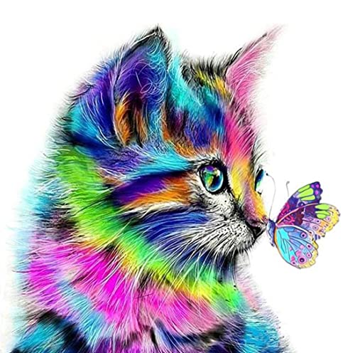 Hillylolly Diamond Painting, Diy 5D Diamant Malerei Set, 5D Diamant Malerei Katze, 25 X 25 CM, Bilder Mit Steinen Kleben Set, Wanddekoration zu Hause, Kein Rahmen (Katze) von Hillylolly