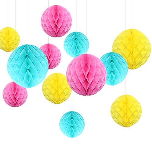 Himeland 12 Stü. Seidenpapier Pompom Wabenball Party Dekoration Kit, Papier Wabenbälle Set für Geburtstag/Party/Baby Dusche/Hochzeit Himeland 12 Stü. Seidenpapier Pompom Wabenball Party Dekoration Kit, Papier Wabenbälle Set für Geburtstag/Party/Baby Dusche/Hochzeit von Himeland