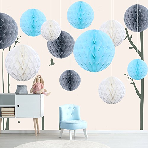 Himeland 12er Mixed Papier Pompom Set, DIY Seidenpapier Wabenbälle, PomPoms Basteln schöne Dekor für Geburtstag Hochzeitsfest Babyshower Feier Party Baby-Duschen von Himeland