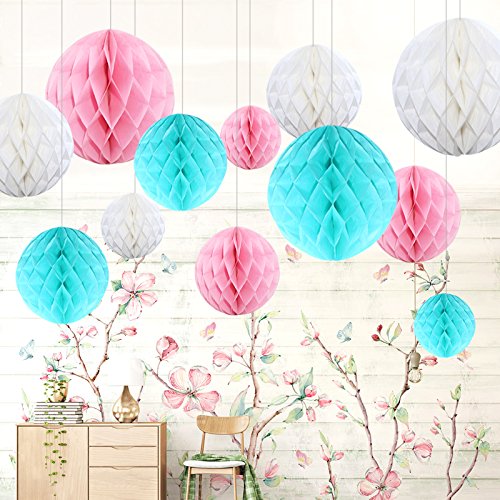 Himeland 12x Pompoms Blume Kit, Seidenpapier Wabenbälle Set als Party Dekoration, Deko Zubehör für Hochzeit Party Baby Duschen Geburtstag Bankett Zimmer von Himeland