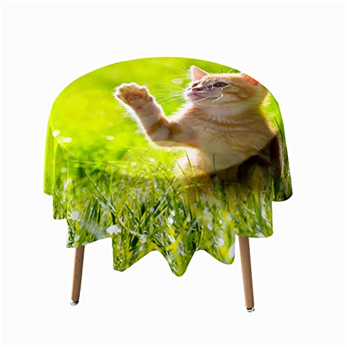 Himlaya Tischdecken Rund, 3D Katze Drucken Tischdecke Wasserdicht Abwaschbar Tischtuch für Küche Garten Outdoor, Pflegeleicht, Verschiedene Größen (Grünes Gras,Durchmesser 150cm) von Himlaya