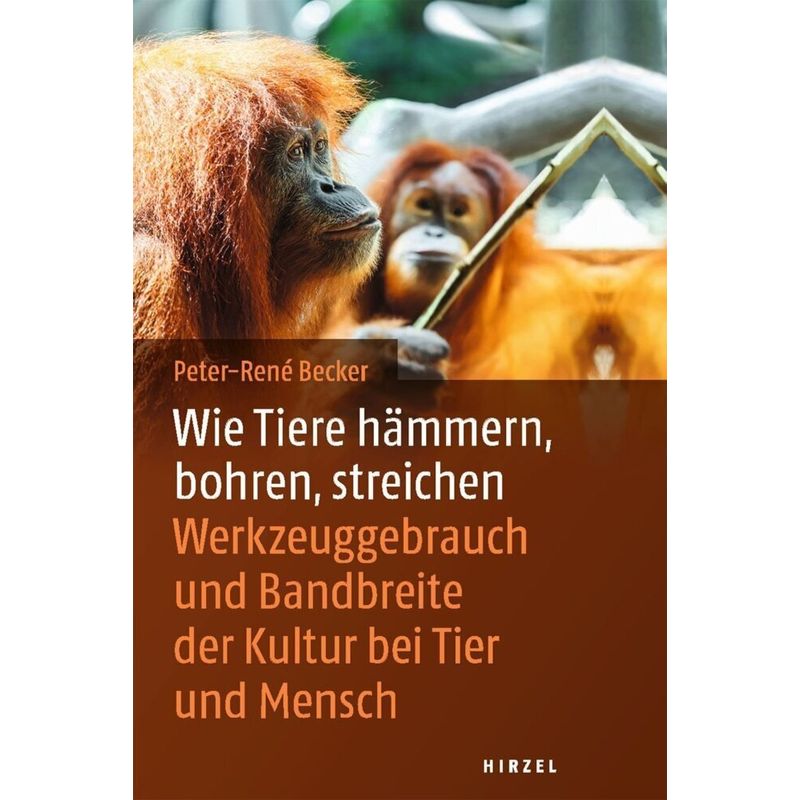 Wie Tiere Hämmern, Bohren, Streichen - Peter-René Becker, Gebunden von Hirzel, Stuttgart