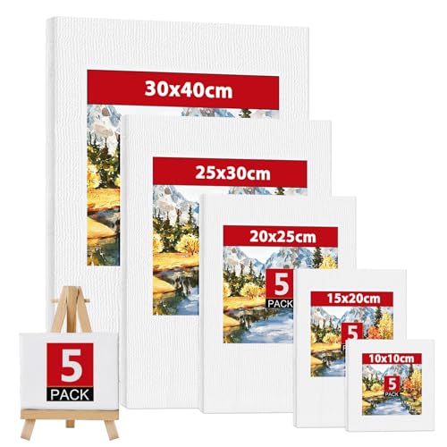 Leinwand zum Bemalen 5er Set Aus 100% Baumwolle, Leinwände, Keilrahmen 30x40,25x30,20x25,15x20,10x10 cm für Acryl-, Aquarell-, Ölfarbe, acrylfarben für Künstler Amateure, Anfänger,Kinder Leinwand zum Bemalen 5er Set Aus 100% Baumwolle, Leinwände, Keilrahmen 30x40,25x30,20x25,15x20,10x10 cm für Acryl-, Aquarell-, Ölfarbe, acrylfarben für Künstler Amateure, Anfänger,Kinder von Hisdricus