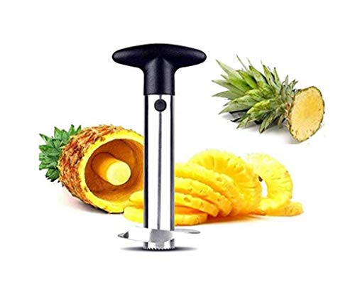 Hitopin Ananasschneider, 1 Stücke Edelstahl Ananas-Entkerner, Ananasschäler Schneidet, Werkzeug zum Entfernen des Ananaskerns, für Home & Küche (Silber) von Hitopin
