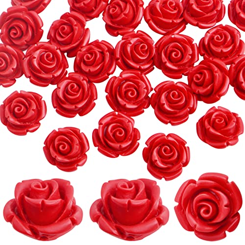 30 Stück 12 mm Cinnabar geschnitzte rote Rosenperlen detaillierte geschnitzte Rosenblume lose Charm-Perlen Zubehör für DIY Schmuckherstellung Zubehör Dekoration, Loch: 2 mm 30 Stück 12 mm Cinnabar geschnitzte rote Rosenperlen detaillierte geschnitzte Rosenblume lose Charm-Perlen Zubehör für DIY Schmuckherstellung Zubehör Dekoration, Loch: 2 mm von Hmjpng