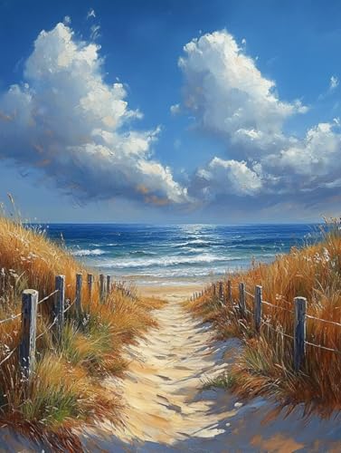 Malen Nach Zahlen Erwachsene Strand Malen Nach Zahlen Himmel Kreativ set für Erwachsene Paint by Numbers DIY Pinsel und Acrylfarben Leinwand Ölgemälde für Room Decor, Ohne Rahmen (100x130cm) S-357 von Hnxaamlg
