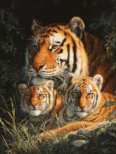 Malen Nach Zahlen Erwachsene Tiger Malen Nach Zahlen Tier Paint by Numbers Kreativ set für Erwachsene DIY Pinsel und Acrylfarben Leinwand Ölgemälde für Room Decor Geschenke, Ohne Rahmen (40x50cm)S-315 Malen Nach Zahlen Erwachsene Tiger Malen Nach Zahlen Tier Paint by Numbers Kreativ set für Erwachsene DIY Pinsel und Acrylfarben Leinwand Ölgemälde für Room Decor Geschenke, Ohne Rahmen (40x50cm)S-315 von Hnxaamlg