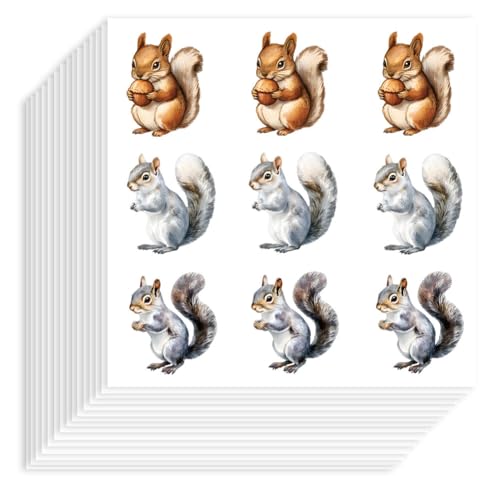 Hobbspring 180 Stück Selbstklebende Dekorative Papieraufkleber 90x90mm Wasserfest Eichhörnchen Aufkleber Eichhörnchen Tannenzapfen Tier Planer Aufkleber Für Scrapbook Tagebücher Karten Basteln Dekor von Hobbspring