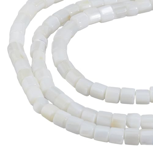 Hobbspring 3 Strang Natürliche Süßwasser Muschelperlen Rondelle Abstandshalter Weiße Muschel Lose Perlen Säule Perlmutt Muschelperlen Stränge Für Schmuck Armbänder Herstellung DIY Handwerk von Hobbspring