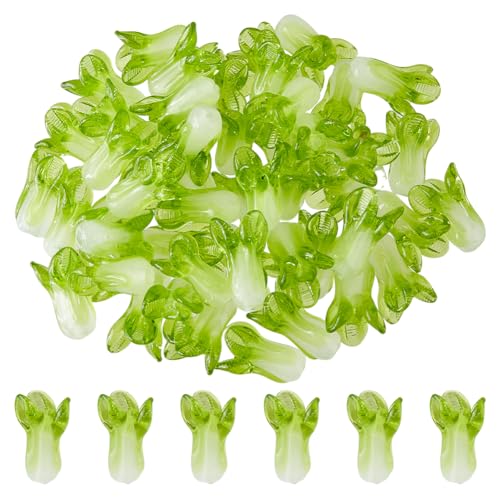 Hobbspring 50 Stück Lampwork Glasperlen Lebensmittel Und Gemüseperlen Süße Kohlperlen Handgefertigte Lose Glasperlen Für Schmuck Halsketten Armbänder Ohrringe Herstellung von DIY Bastelarbeiten Hobbspring 50 Stück Lampwork Glasperlen Lebensmittel Und Gemüseperlen Süße Kohlperlen Handgefertigte Lose Glasperlen Für Schmuck Halsketten Armbänder Ohrringe Herstellung von DIY Bastelarbeiten von Hobbspring