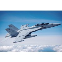 EA-18G Growler EA-18G Growler von HobbyBoss