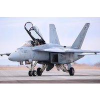 F/A-18F Super Hornet von HobbyBoss