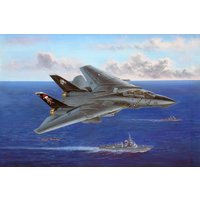 F-14B Tomcat von HobbyBoss