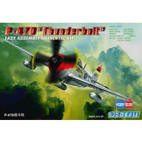 P-47D ´´Thunderbolt´´ von HobbyBoss