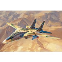 Persian Cat F-14A Tomcat - IRIAF Persian Cat F-14A Tomcat - IRIAF von HobbyBoss