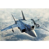 Russian MiG-31B/BM Foxhound Russian MiG-31B/BM Foxhound von HobbyBoss