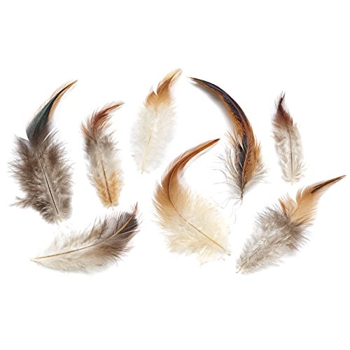 Hobbyfun Deko-Federn V braun-Natur 4 gr. Hobbyfun Deko-Federn V braun-Natur 4 gr. von Hobbyfun