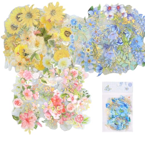 Hocadrv 120 Stück Sticker Blumen Scrapbook Stickers Pflanzen Blumen PET Sticker Blume Scrapbooking Transparent Sticker für Fotoalbum Handwerk DIY Dekoration Hocadrv 120 Stück Sticker Blumen Scrapbook Stickers Pflanzen Blumen PET Sticker Blume Scrapbooking Transparent Sticker für Fotoalbum Handwerk DIY Dekoration von Hocadrv