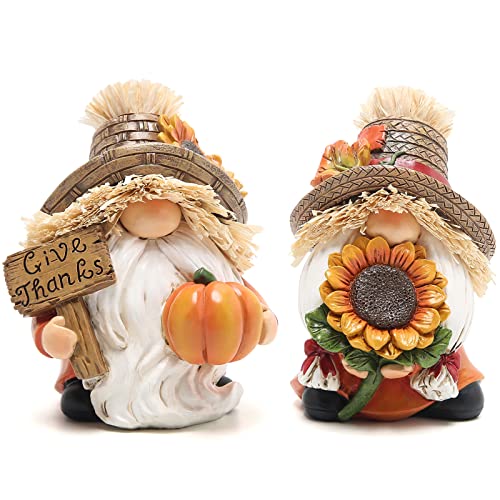 Hodao Herbst Thanksgiving Vogelscheuche Zwerge Tischdekorationen Indoor Kreative Thanksgiving Tafelaufsätze für Tische von Hodao