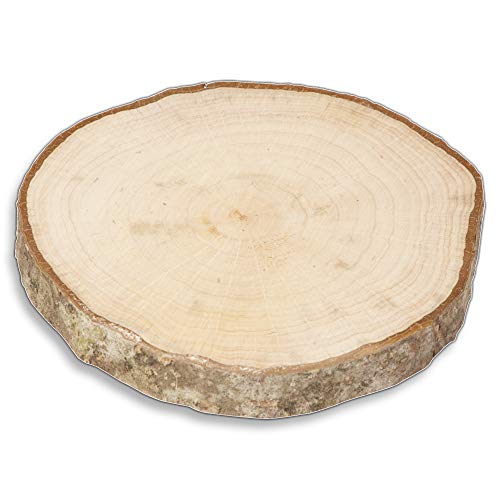 2X HOFMEISTER® Holzscheiben mit Rinde, Untersetzer, rund, unlackiert aus Holz 10 cm von Hofmeister Holzwaren