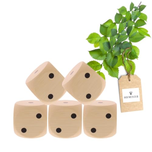 5X HOFMEISTER® Würfel Augenzahlen Holz 4cm - Holzwürfel Kinder Erwachsene Spielen Brettspiel Party Spieleabend Partyspiel, 100% Naturprodukt unbehandelt aus heimischem Buchenholz, 4 x 4 cm von Hofmeister Holzwaren