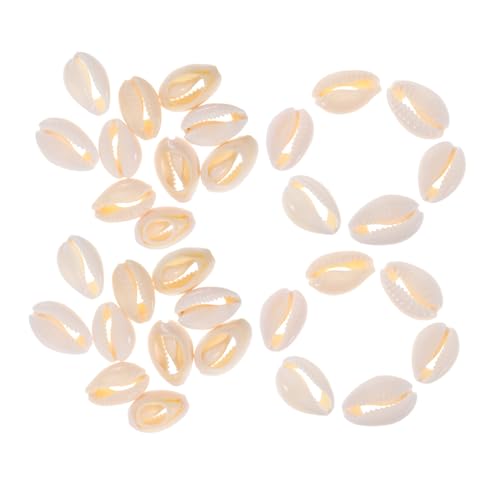 Hohopeti 100 Stück Natürliche Muschelperlen für Schmuckherstellung Diy-armbänder Haarclips und Bastelprojekte Mittelgroße Echte Muscheln für Armbänder Halsketten und Dekoration Hohopeti 100 Stück Natürliche Muschelperlen für Schmuckherstellung Diy-armbänder Haarclips und Bastelprojekte Mittelgroße Echte Muscheln für Armbänder Halsketten und Dekoration von Hohopeti