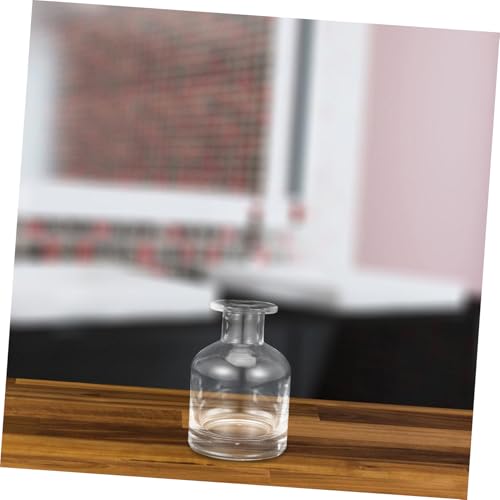 Hohopeti 2 Stück Leere Glas Diffusor Flaschen Nachfüllbar Ätherische Öle Duftöl Behälter Raumduft Aromatherapie für Zuhause und Auto von Hohopeti