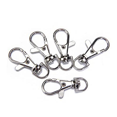 Hohopeti 5 Stck Robuster Großer Metall Schwenkhaken Karabiner Schlüsselanhänger Set Silber mit Starkem Feder Schnappverschluss für Schlüssel Basteln Anhänger und Kleine von Hohopeti
