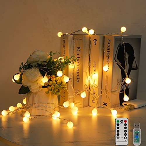 LED Globe Lichterkette, LED Kugel Lichterkette Warmweiße Kugel Lichterkette Batteriebetriebene/IP67 Wasserdicht Warmweiße Lichterkette mit Fernbedienung Beleuchtung Weihnachten Party (Warmweiß, 6) von Holdden