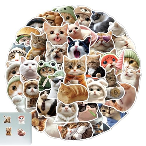 Holdes Aufkleber Katze Mme | Aufkleber Katze Niedlich Dekoration Internet – Ästhetisches Design Tiere Wasserdicht Aufkleber Laptop Zubehör Party Notizbuch Telefon Koffer Holdes Aufkleber Katze Mme | Aufkleber Katze Niedlich Dekoration Internet – Ästhetisches Design Tiere Wasserdicht Aufkleber Laptop Zubehör Party Notizbuch Telefon Koffer von Holdes