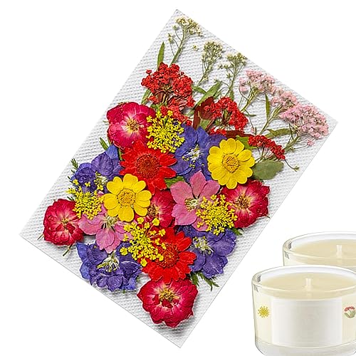 Holdes Aufkleber mit getrockneten Blumen – 35 ästhetische Aufkleber für die Journalisierung, echte und natürliche botanische Aufkleber, ästhetische gepresste Blumenkunst, Scrapbooking-Aufkleber Holdes Aufkleber mit getrockneten Blumen – 35 ästhetische Aufkleber für die Journalisierung, echte und natürliche botanische Aufkleber, ästhetische gepresste Blumenkunst, Scrapbooking-Aufkleber von Holdes