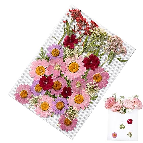 Holdes Blumenaufkleber für Scrapbooking – Pflanzenaufkleber für Tagebuch, Pflanzenaufkleber für Tagebuch, Scrapbook-Aufkleber und Zubehör für Tagebuch, Planer, Laptops, Nagel Holdes Blumenaufkleber für Scrapbooking – Pflanzenaufkleber für Tagebuch, Pflanzenaufkleber für Tagebuch, Scrapbook-Aufkleber und Zubehör für Tagebuch, Planer, Laptops, Nagel von Holdes