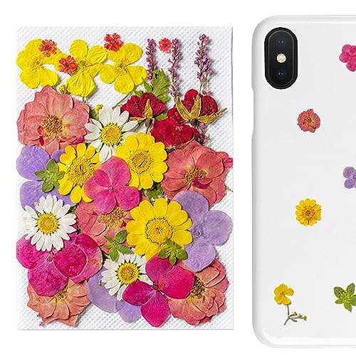 Holdes Gepresste Blumenaufkleber, 35 Aufkleber für Tagebücher | Echte und natürliche Scrapbooking-Aufkleber, Scrapbooking-Zubehör für Laptops von Holdes