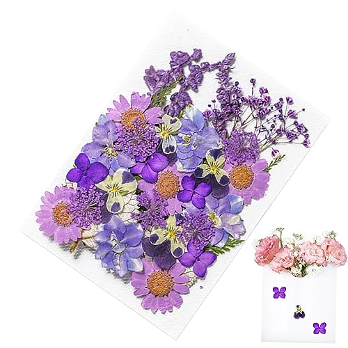 Holdes Gepresste Blumenaufkleber, ästhetische Pflanzenaufkleber für Journaling, Pflanzenaufkleber für Journaling, Scrapbook-Aufkleber und Zubehör für Tagebuch, Planer, Laptops, Nagel Holdes Gepresste Blumenaufkleber, ästhetische Pflanzenaufkleber für Journaling, Pflanzenaufkleber für Journaling, Scrapbook-Aufkleber und Zubehör für Tagebuch, Planer, Laptops, Nagel von Holdes