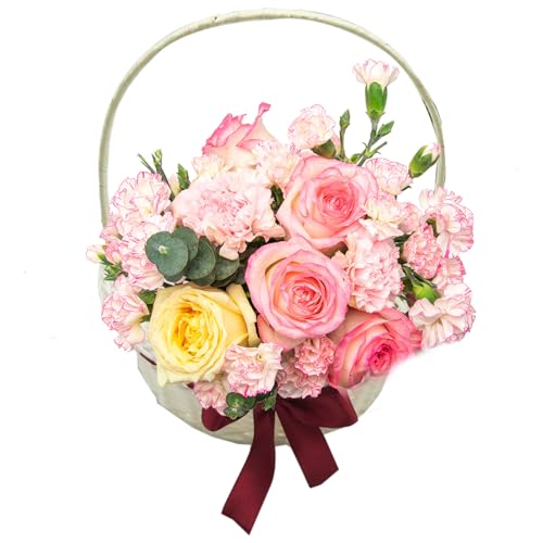 Holdes Hochzeits-Blumenmädchenkörbe | Blumenkorb – gewebter Blumenrattankorb für Zuhause, Hochzeit, Garten, Dekoration, gewebter Picknickkorb für Gartenaufbewahrung, Heimdekoration Holdes Hochzeits-Blumenmädchenkörbe | Blumenkorb – gewebter Blumenrattankorb für Zuhause, Hochzeit, Garten, Dekoration, gewebter Picknickkorb für Gartenaufbewahrung, Heimdekoration von Holdes