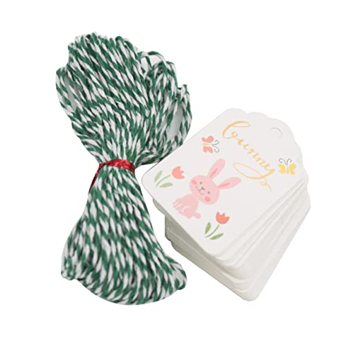Holibanna 100 Stück Ostern-geschenkanhänger Kaninchen-geschenkanhänger Name Kaninchen -tag Du Nachricht Ostern-basteletikett Hangtag Des Geschenks Geschenkanhänger Aus Papier Weiß von Holibanna