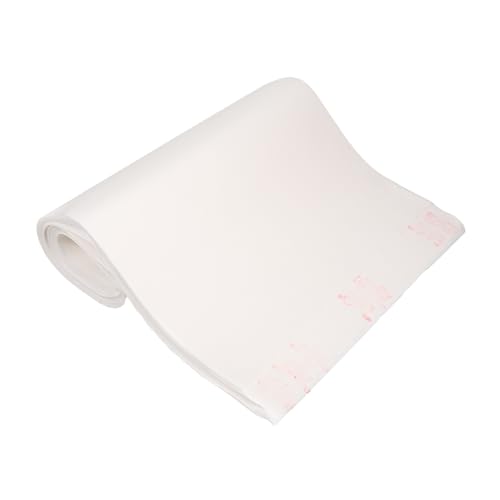 Holibanna 100 Stück Xuan Papier Chinesisches Reispapier für Kalligrafie Pinsel Schreiben Hohe Saugfähigkeit Lichtecht für Sumi Tuschemalerei und Kalligrafie Übung Geeignet für Anfänger und Holibanna 100 Stück Xuan Papier Chinesisches Reispapier für Kalligrafie Pinsel Schreiben Hohe Saugfähigkeit Lichtecht für Sumi Tuschemalerei und Kalligrafie Übung Geeignet für Anfänger und von Holibanna