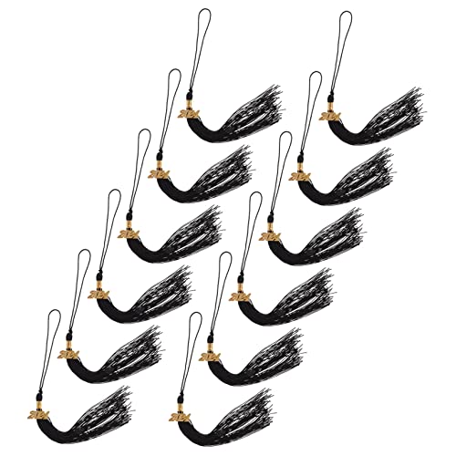 Holibanna 12 Stück Graduierungskappe Quasten grad cap quastenanhänger akademische Quasten abschlussfeier abschluss party Abschlusskappen Quasten Abschlusshut Dekoration Quasten Polyester von Holibanna