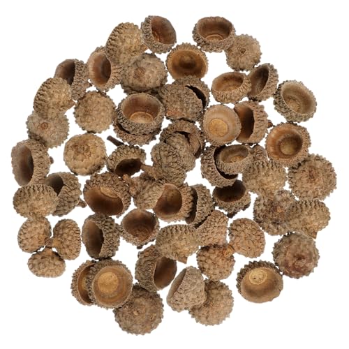 Holibanna 50 Stück Natürliche Eichelkappen Set für Weihnachtsbaum Dekoration Bastelbedarf und Herbstfeiern Umweltfreundliche DIY Deko für Hochzeiten und Partys von Holibanna