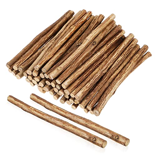 Holibanna 50Stücke Holzstöcke für Handwerk Natürliche Bastelstäbe für DIY Projekte Kunsthandwerk und Rustikale Dekoration Holibanna 50Stücke Holzstöcke für Handwerk Natürliche Bastelstäbe für DIY Projekte Kunsthandwerk und Rustikale Dekoration von Holibanna