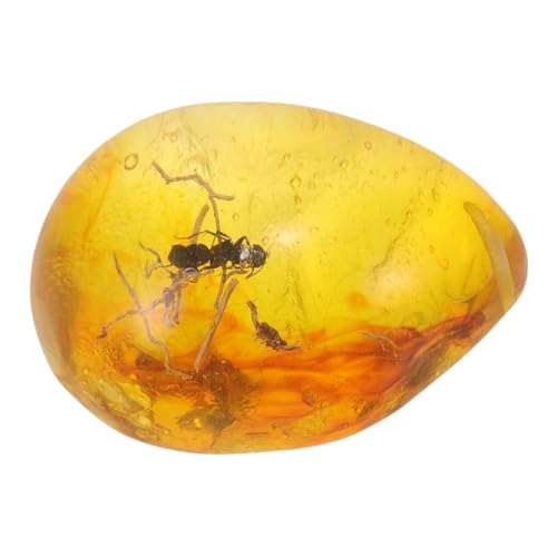 Holibanna Insekten Bernstein Anhänger Dekoration DIY Insekten Bernstein Ornament Für Handwerk Lebensnahe Bernsteinprobe Mit Insekt Sammlung Und Heimdekoration von Holibanna