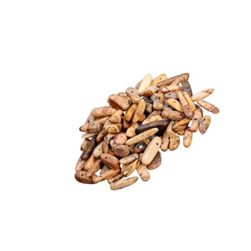 Holibanna Natürliche Unregelmäßige Steinperlen Für DIY Schmuckherstellung Kreative Bastelperlen Zubehör Für Armbänder Halsketten Und Dekoration Holibanna Natürliche Unregelmäßige Steinperlen Für DIY Schmuckherstellung Kreative Bastelperlen Zubehör Für Armbänder Halsketten Und Dekoration von Holibanna