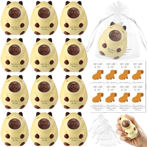 Hollowfly 10 Set Inspirierende Geschenk-Bälle mit Karten Organzabeutel Stressabbau Quetschbälle Lustiges Wertschätzungsgeschenk für Mitarbeiter Sozialarbeiter Freiwillige Kollegen (Capybara) von Hollowfly
