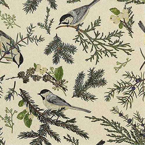 20 Servietten Eco Line nachhaltig aus 100% Recycling-Papier Vögel in Zweige | Wald | Tiere | Sommer | Herbst | Winter | Tischdeko 33x33cm 20 Servietten Eco Line nachhaltig aus 100% Recycling-Papier Vögel in Zweige | Wald | Tiere | Sommer | Herbst | Winter | Tischdeko 33x33cm von Home Fashion