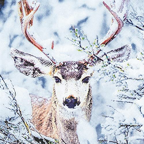 20 Servietten Hirsch im Winterwald | Tiere | Wald | Winter | Weihnachten | Tischdeko | Decoupage | Serviettentechnik 33x33cm von Home Fashion