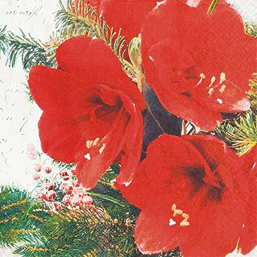 20 kleine Cocktail-Servietten Rote AmaryllisBlüten |Blumen | Weihnachten | Winter | Tischdeko | Decoupage | Serviettentechnik 25x25cm von Home Fashion