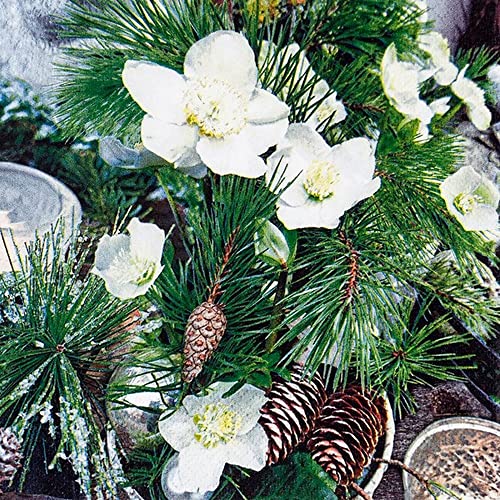 20 kleine Cocktail-Servietten Winterrose und Zweige | Rose | Blumen | Weihnachten | Winter | Tischdeko | Decoupage | Serviettentechnik 25x25cm von Home Fashion