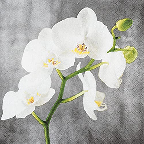 20 kleine Cocktail-Servietten weiße Orchidee | Blumen | zeitlos | Tischdeko | Decoupage | Serviettentechnik 25x25cm von Home Fashion