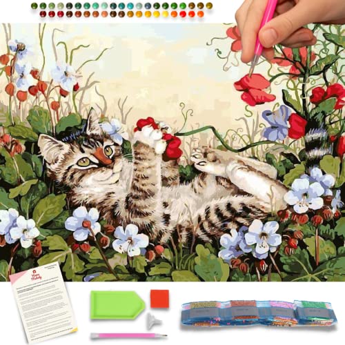 Home Melody Diamond Painting Erwachsene und Kinder - 30x40 cm, spielende Katze, 5D Diamond Painting Set Tiere, Diamant Painting Runde Diamanten, DIY Set Deko Dekoration Geschenk von Home Melody