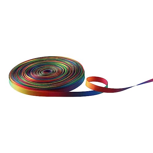 HomeSoGood Ripsband mit Farbverlauf, doppelseitig, Regenbogen-bedruckt, bunt, doppelseitig, doppelseitig, 9 mm breit, 45,7 m von HomeSoGood
